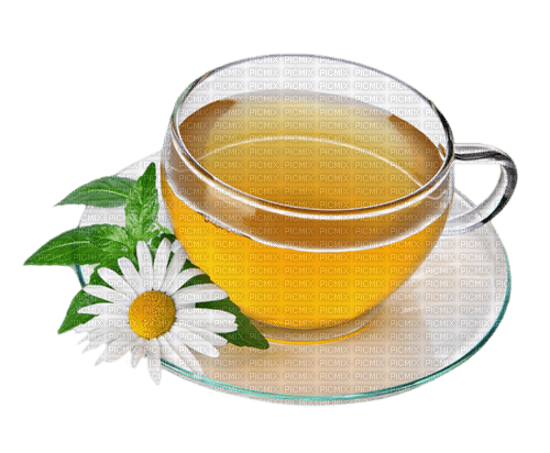 Camomile Tea - PNG gratuit