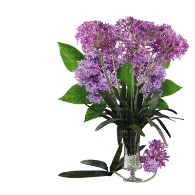 fleur violette.Cheyenne63 - gratis png