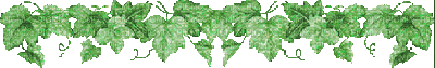 frise feuilles de vigne - Бесплатный анимированный гифка