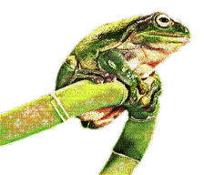 frogger - Bezmaksas animēts GIF