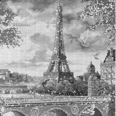 Y.A.M._Landscape Paris city black-white - GIF animé gratuit