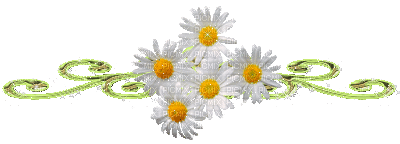daisies- nitsa - Безплатен анимиран GIF