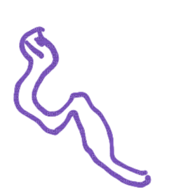 Le serpent - PNG gratuit