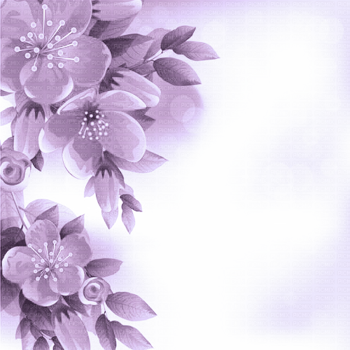 Y.A.M._Spring Summer background  purple - kostenlos png
