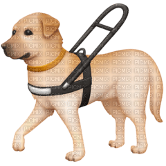 Guide dog emoji - darmowe png