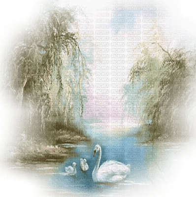 paysage cygne  swan landscape - png ฟรี