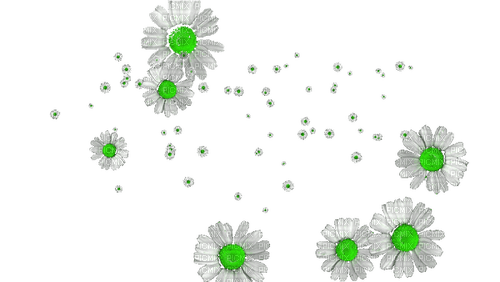 blume flowers - 免费PNG