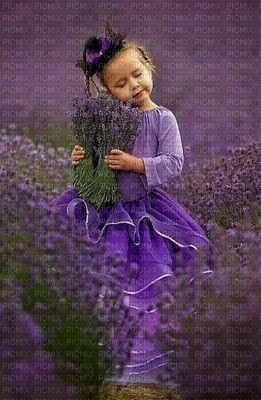 lavender background bp - png grátis