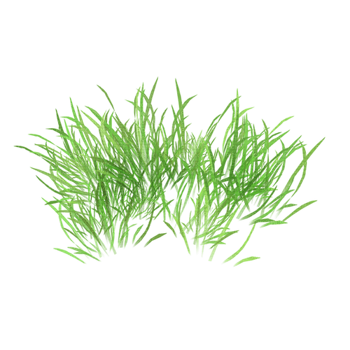 GRASS_Blue DREAM - Free PNG