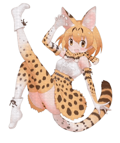 serval - png ฟรี