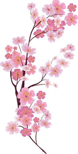 cherry blossom Bb2 - Free PNG
