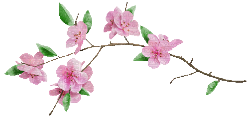 flower branch - GIF animado grátis