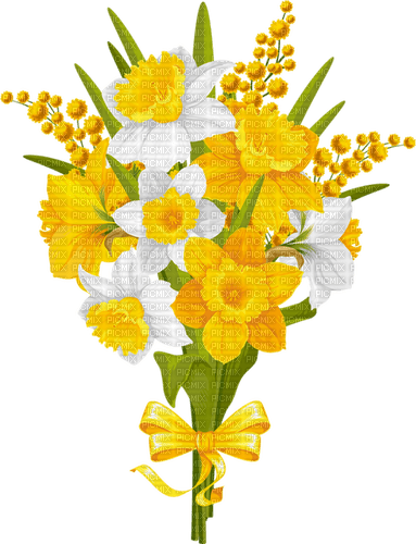 daffodils Bb2 - nemokama png