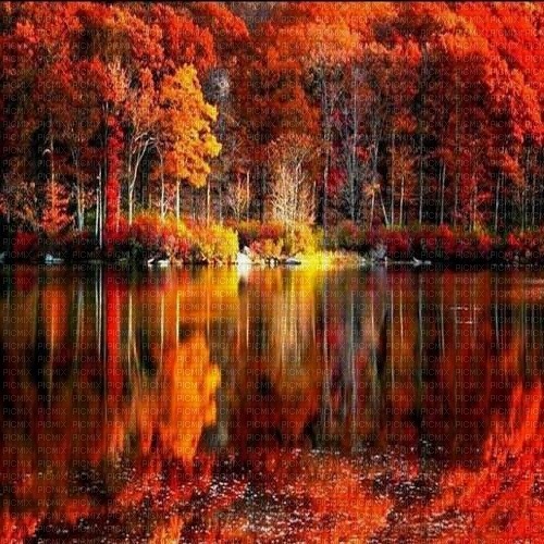 autumn background - darmowe png