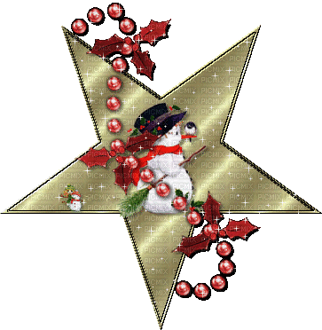 deco noel christmas  star laurachan - GIF animé gratuit