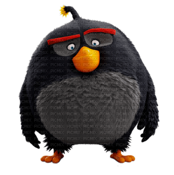 Angry Birds - png grátis