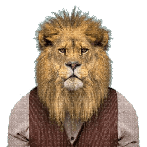 Lion in Human Clothes - gratis png