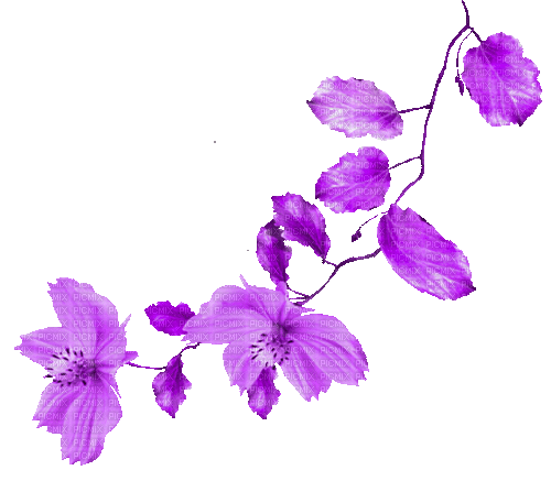 Leaves.Flowers.Purple.Animated - KittyKatLuv65 - GIF เคลื่อนไหวฟรี