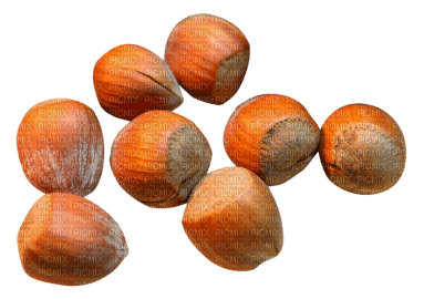 орешки - nemokama png