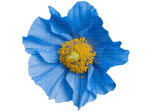 deco flower blue vintage kikkapink - Free PNG