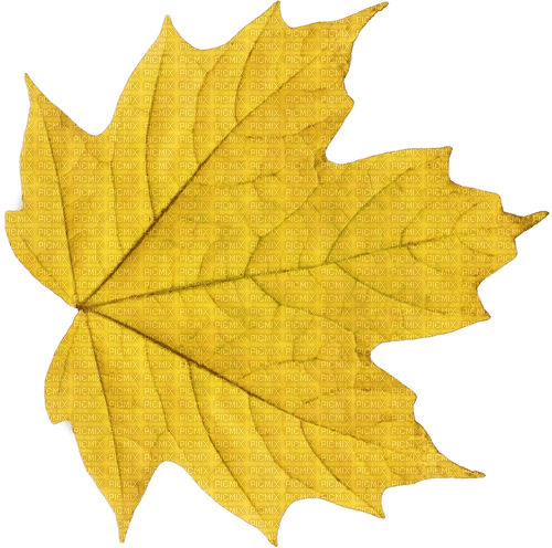 autumn yellow leaf deco - 免费PNG