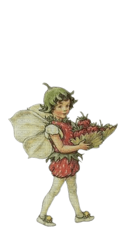 Strawberry Fairy - zdarma png
