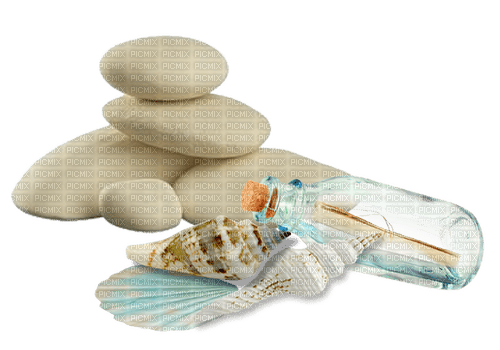 seashell Bb2 - nemokama png