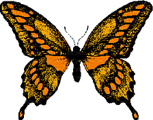 papillon - Δωρεάν κινούμενο GIF