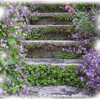 stone stairway garden jardin d'escalier en pierre
