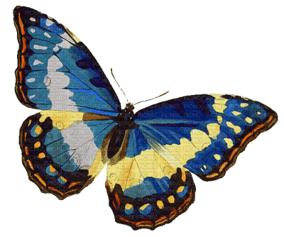 Kaz_Creations Butterflies Butterfly - 無料png