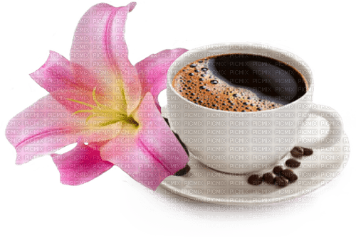 Coffee with Flower - ingyenes png