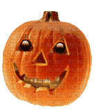 pumpkin - 免费动画 GIF
