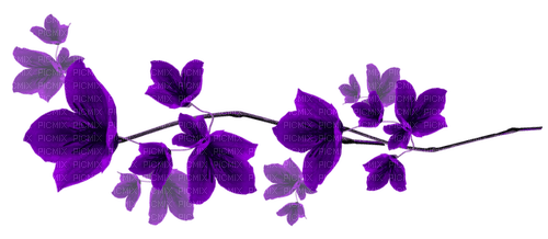 Flowers.Purple - png gratuito