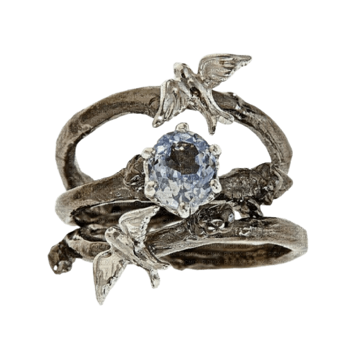 silver ring -jox - PNG gratuit
