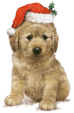Kaz_Creations Animals Christmas Dog Pup - GIF เคลื่อนไหวฟรี