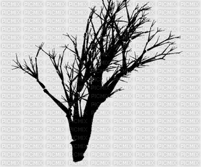 cây lá - Безплатен анимиран GIF