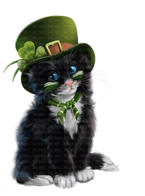 Kaz_Creations Cats Kittens Cat Kitten St.Patricks Day - png ฟรี