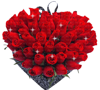 Rosen roses red rouge - GIF animate gratis