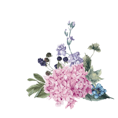 Fleur.bouquet.Hydrangeas.Hortensias.Victoriabea - png ฟรี