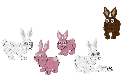 Petz Bunny Family - GIF animado gratis