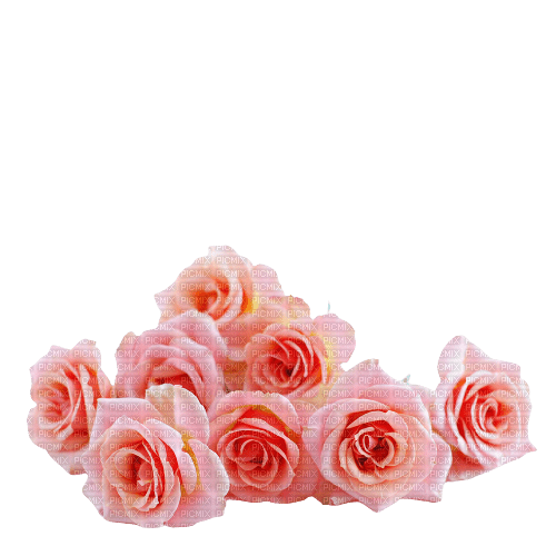 Vanessa Valo _crea=pink roses bouquet - PNG gratuit