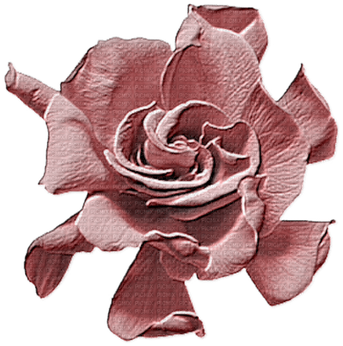 Fleur Rose Pastel :) - бесплатно png