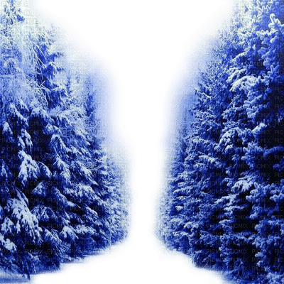 landscape winter hiver wald snow foret tree image forest fond background landschaft paysage  neige fir tanne sapin arbre baum tube way weg loin - безплатен png