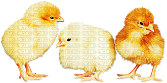 soave deco easter spring vintage chick yellow - ingyenes png