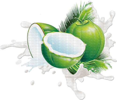 green coconut Bb2 - bezmaksas png