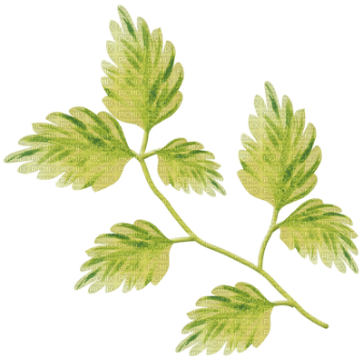Kaz_Creations Deco Leaves Leafs Colours - 無料png