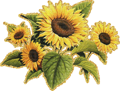 sunflowers - Безплатен анимиран GIF