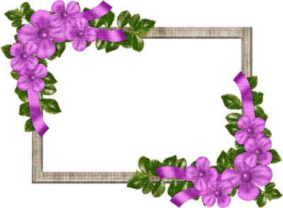 Kaz_Creations Deco Flowers Frames Frame Colours - gratis png