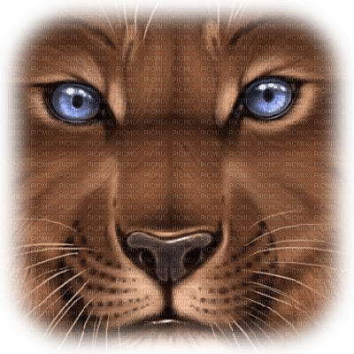 cecily-animal sauvage - PNG gratuit