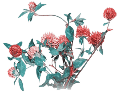 soave deco flowers vintage branch  pink teal - Free PNG